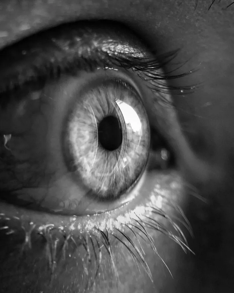 Black-and-white close-up of an eye